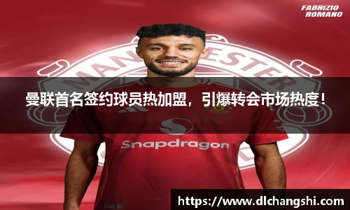 乐鱼电子官网
