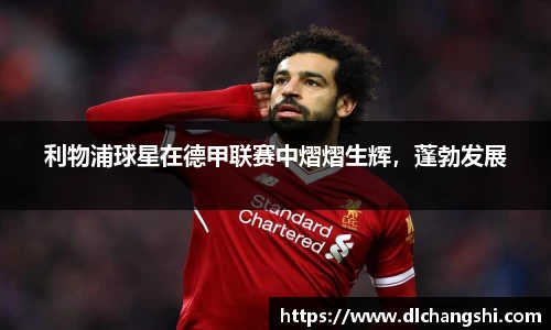 乐鱼电子官网