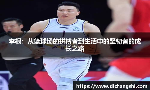 乐鱼电子