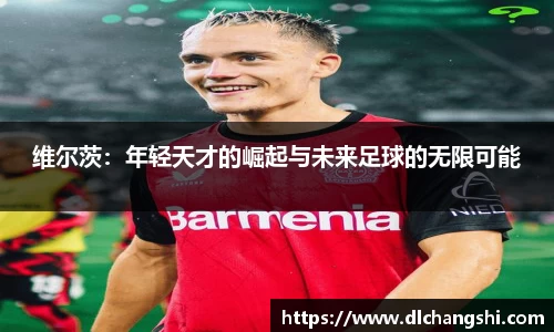 乐鱼电子