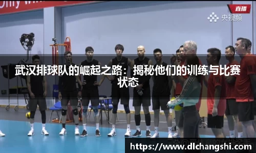 乐鱼电子