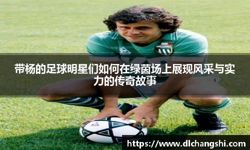 乐鱼电子