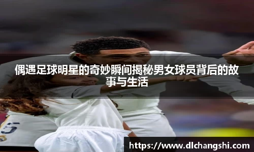 乐鱼电子